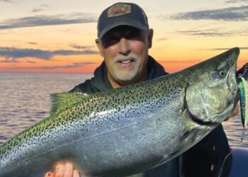 The editor, Mark Romanack, caught this excellent chinook salmon, pulling long lengths of weighted stainless-steel wire on Lake Michigan with the help of an OR37 SST Pro Mag Planer Board to spread out lines and cover more water. When it comes to the “heavy lifting” in trolling the OR37 SST Pro Mag has no equal.