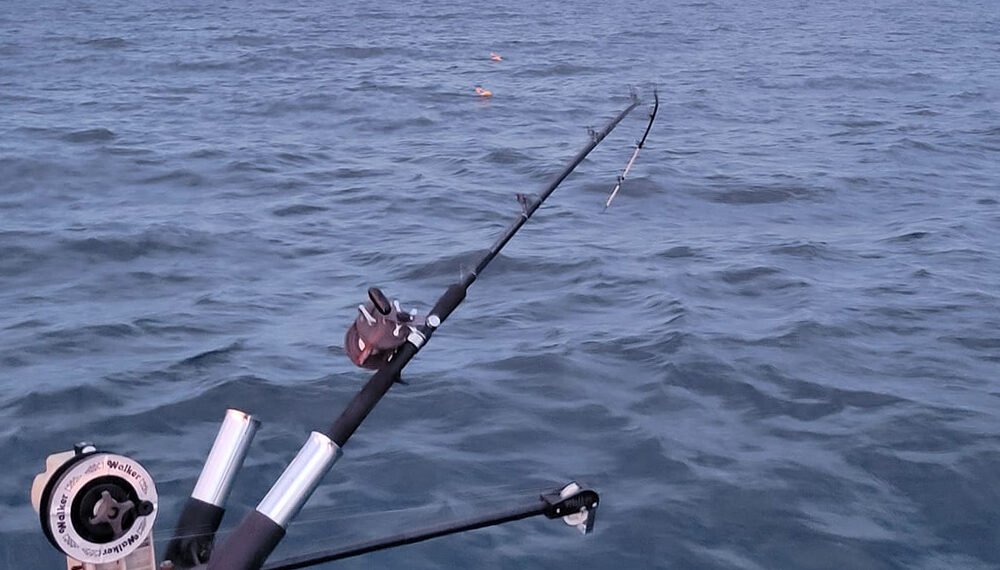 Catch More Fish On Downriggers