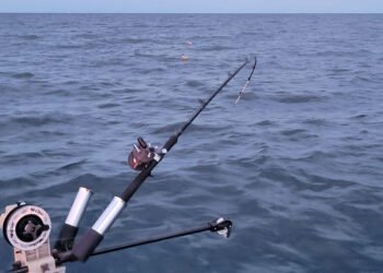 Catch More Fish On Downriggers