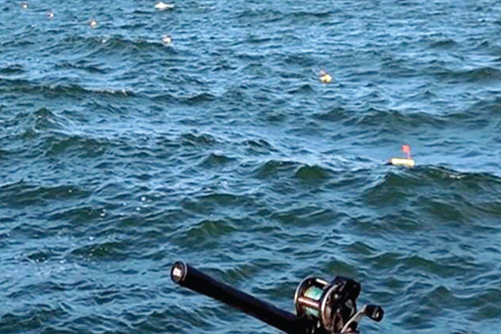WHY I DON’T RELEASE BOARDS - The Off Shore Release