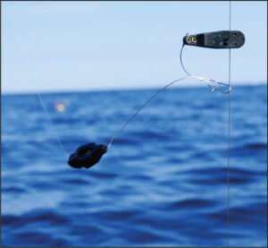 Stacker releases like this OR2 make it easy for anglers to rig two different linesto a single downrigger, doubling up the chances of catching fish.