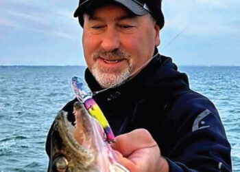 LEAD CORE VS THE 50+3T DATA