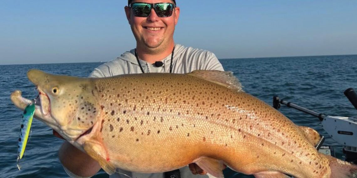 LEAD CORE VS THE 50+3T DATA