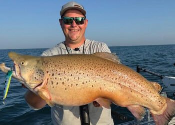 LEAD CORE VS THE 50+3T DATA