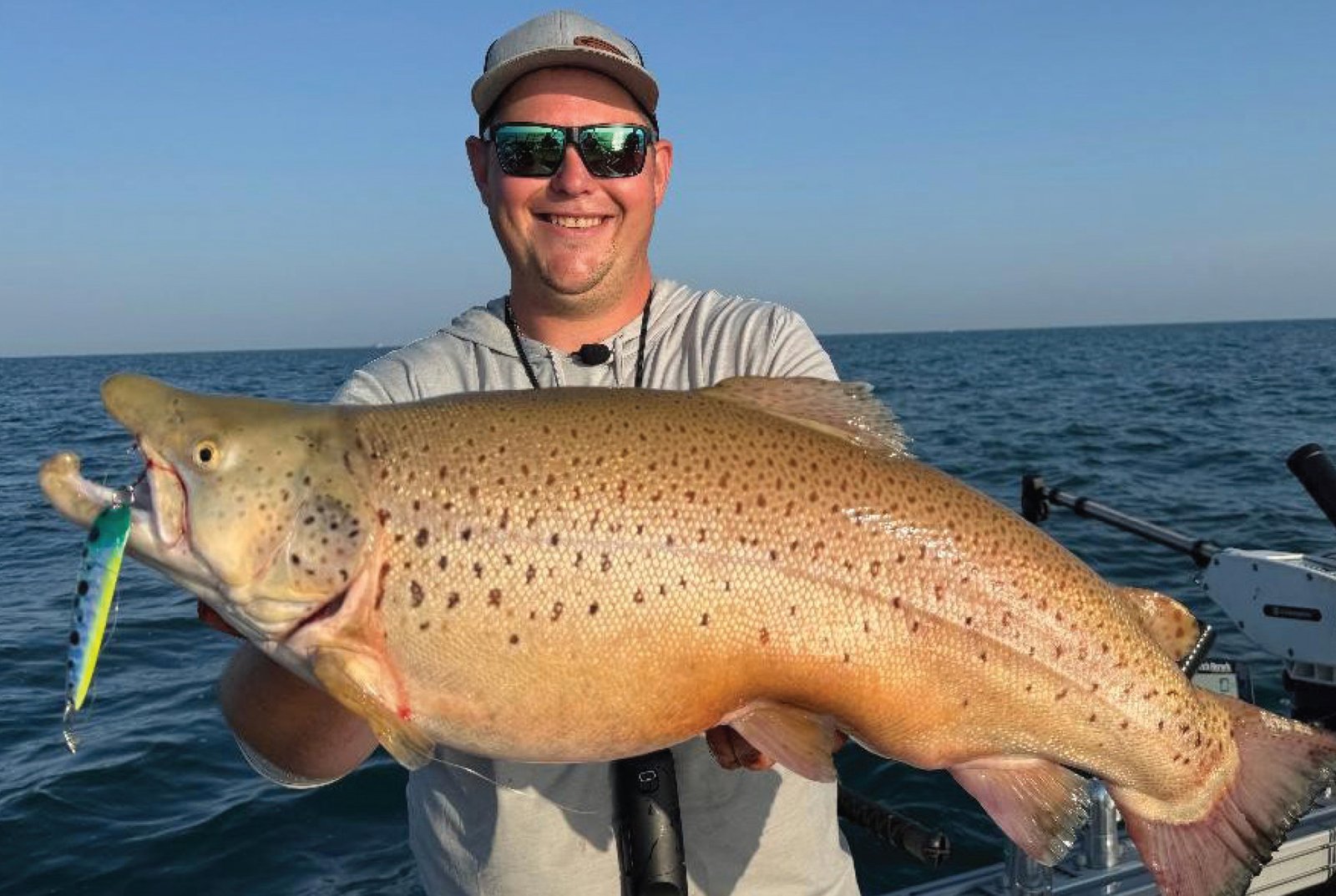 SUMMER BROWN TROUT - The Off Shore Release