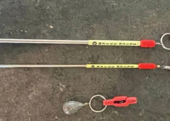 LEAD CORE VS THE 50+3T DATA