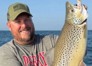 LEAD CORE VS THE 50+3T DATA