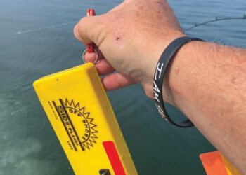 LEAD CORE VS THE 50+3T DATA