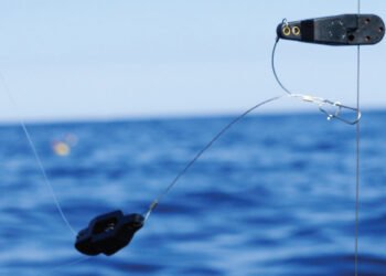 LEAD CORE VS THE 50+3T DATA