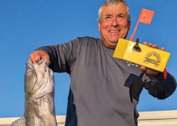 LEAD CORE VS THE 50+3T DATA